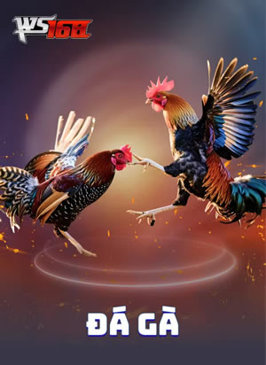 Trò Chơi Thực Tế